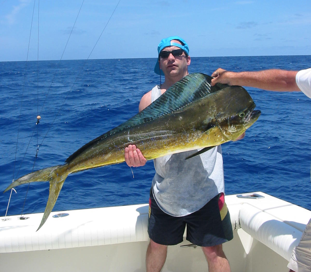 Dorado