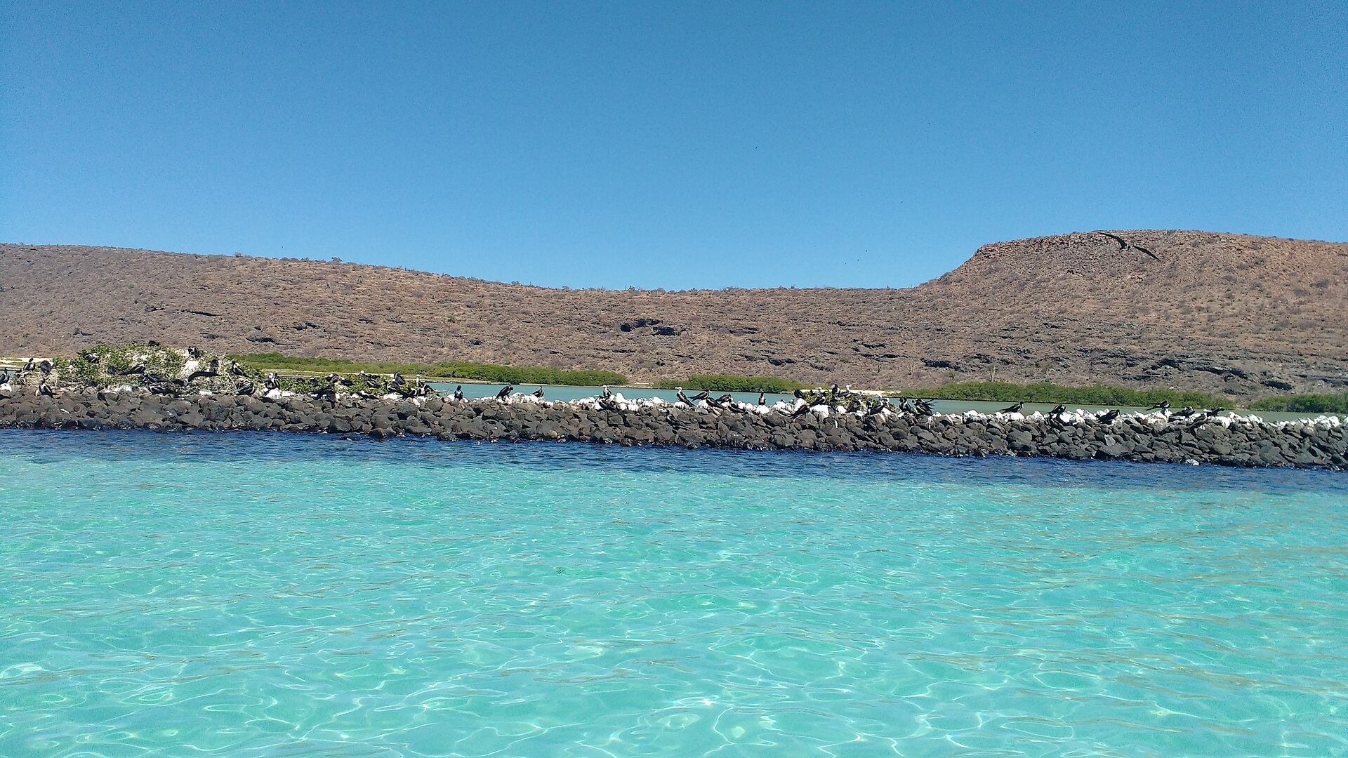 Isla Espíritu Santo